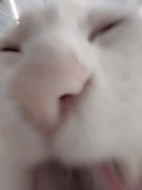 2709188328816313