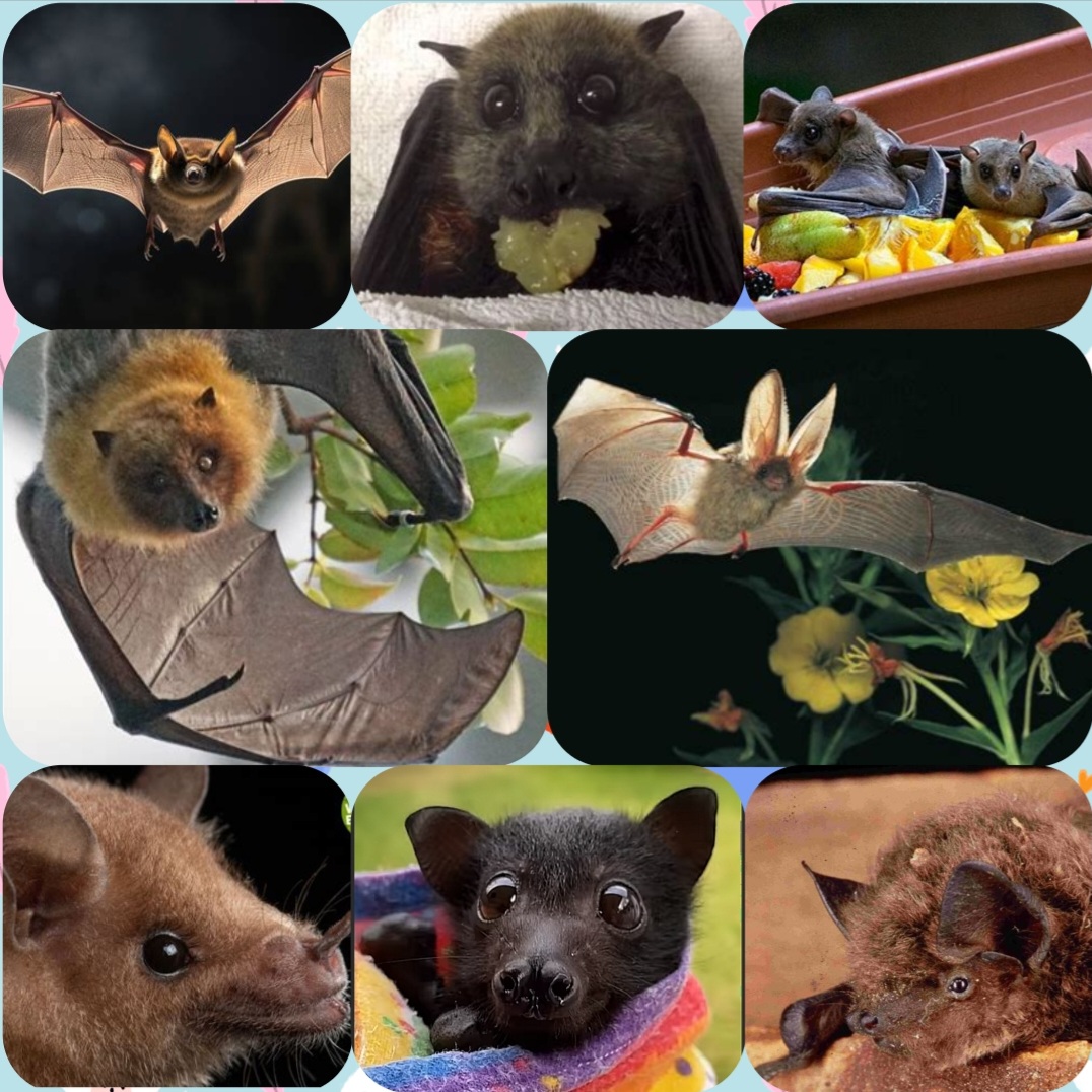 Screenshot 20260319 134720 Collage Maker