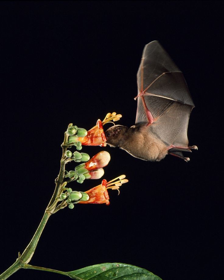 8b7182e053bd300f5c466f392eb922b0