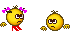 47521589xd