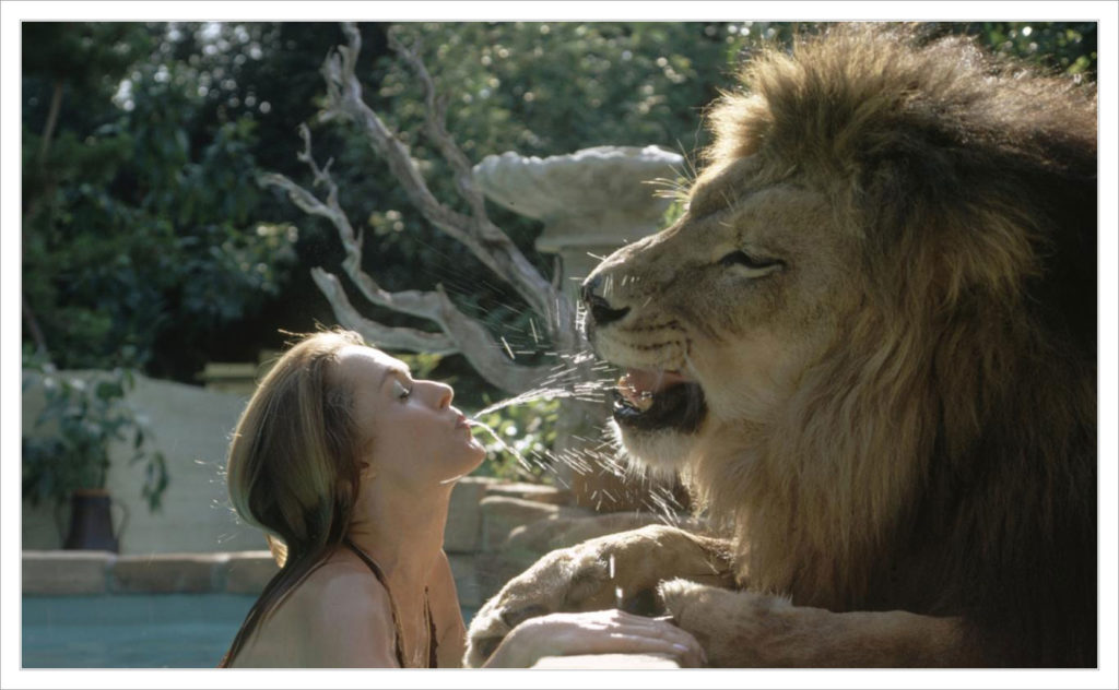 tippi hedren lwin - Copy