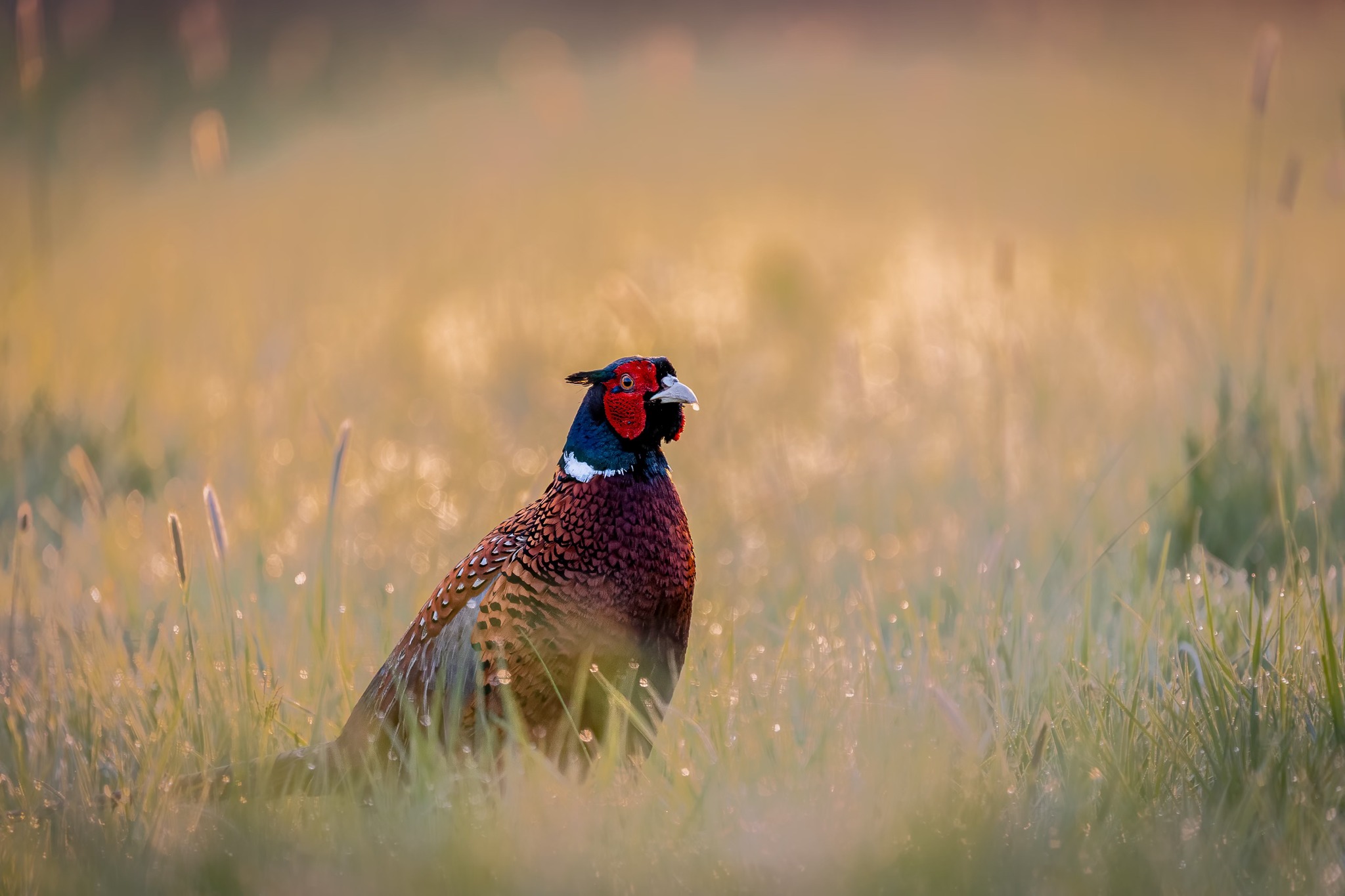 490341159 10236323633256829 154666920215