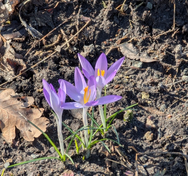 28299104-9c16-4a8d-afc2-03c006a9607f cop