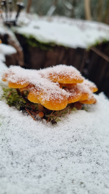 Whats-App-Image-2026-01-16-at-23-45-38