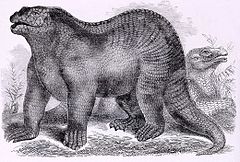240px-Goodrich Iguanodon
