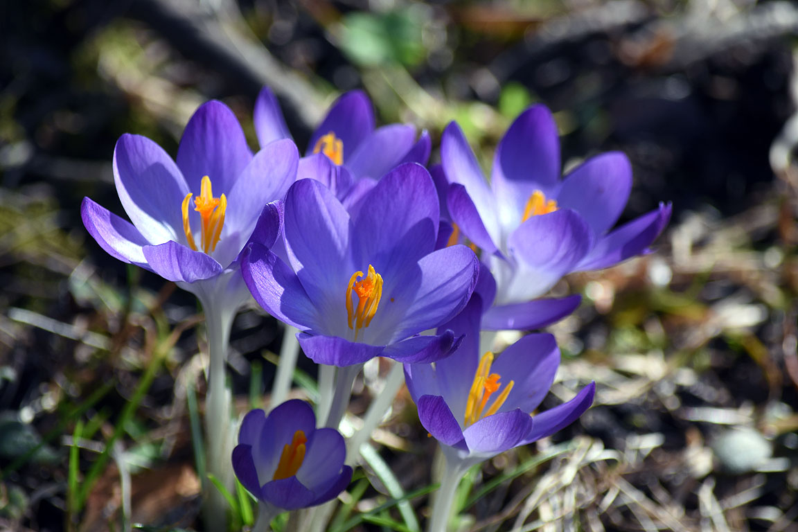 fab3be8f-6db2-473e-b76f-a74302f67378