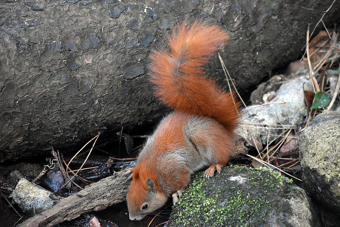 118aed37-597f-4ca0-b7b7-ee2c76b3689a