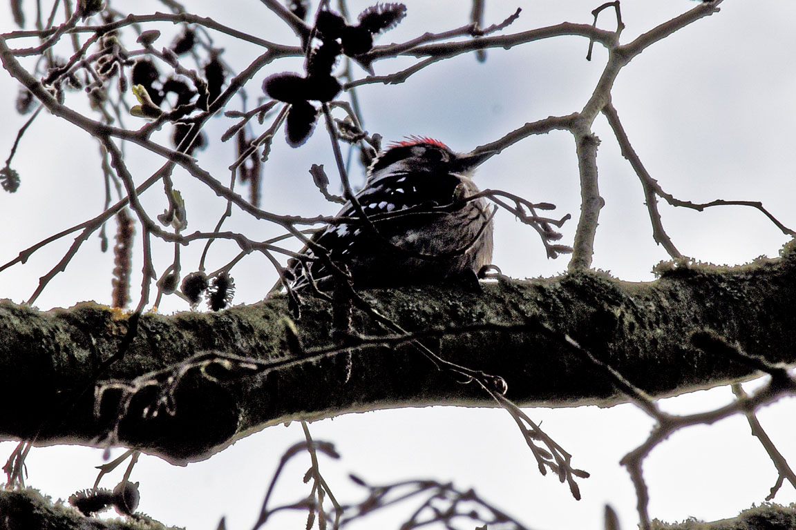 fe9e221a-4c7a-4a48-a134-791f4fa9ab8f