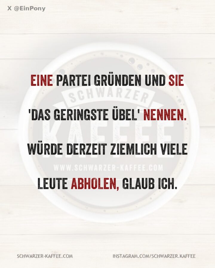 eine-partei-fuer-das-geringste-uebel-sca