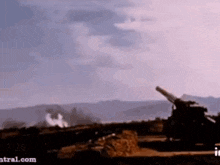 gio-reyna-being-shot-from-a-cannon-bvb