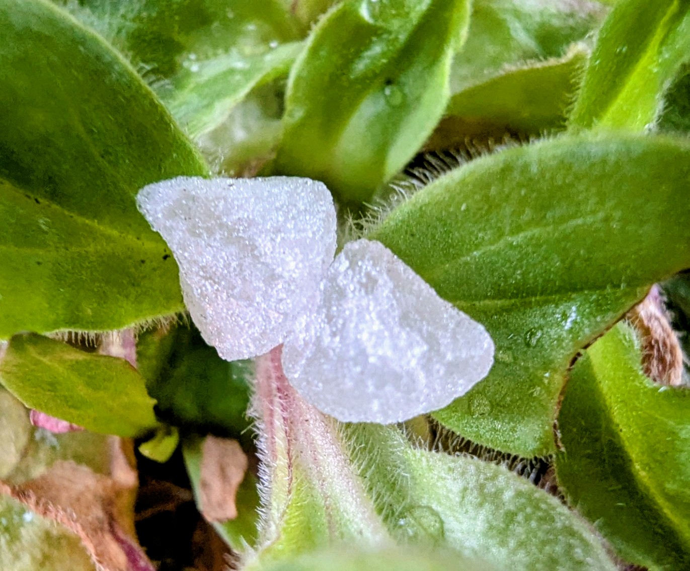 fa1d130d-0220-4c24-a766-803b9a32b27a