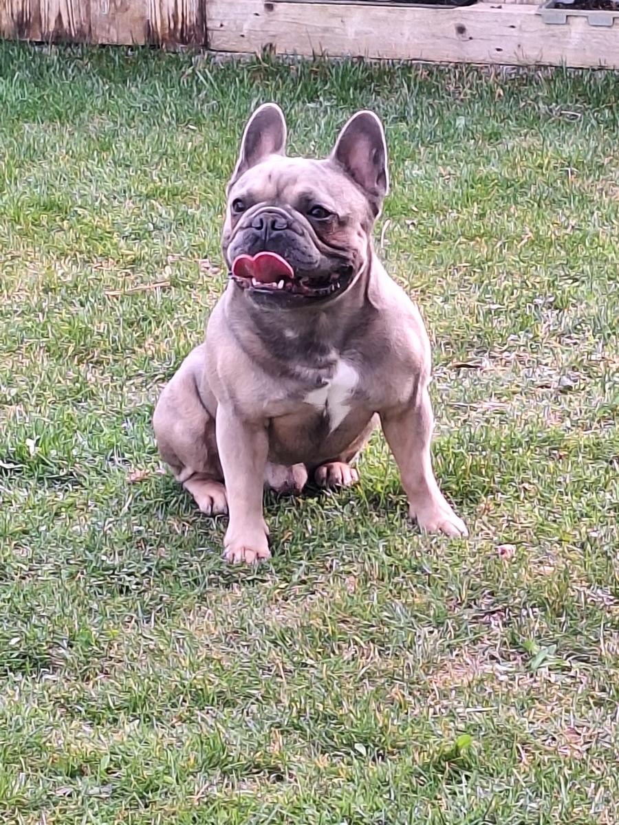 czg45eyj2hdc 20260307 171407.jpg conv