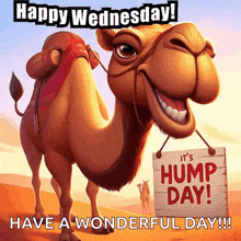 wednesday-happy-wednesday