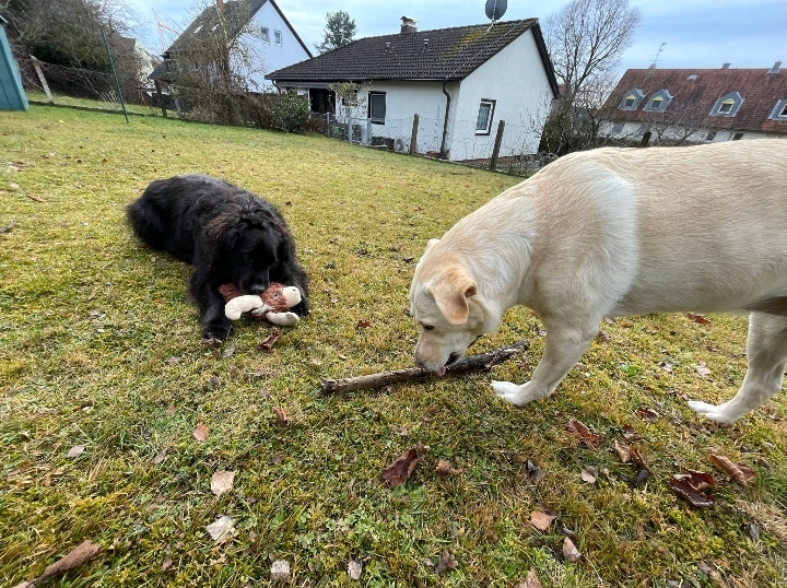 Screenshot 20260116 145202 Signal