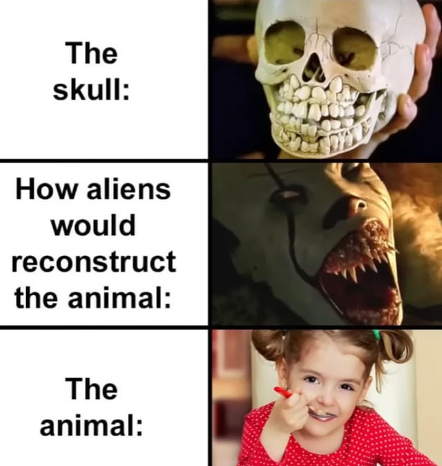 nah-like-wtf-v0-7t27u0boimuf1