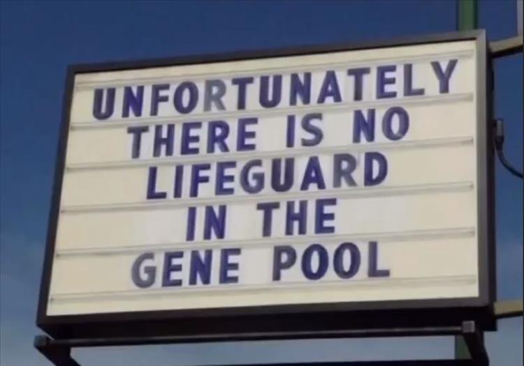your-gene-pool