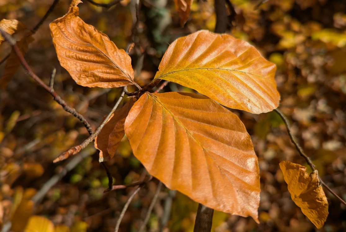 93291eeb-6454-47d7-a4cb-e4491616fb3d