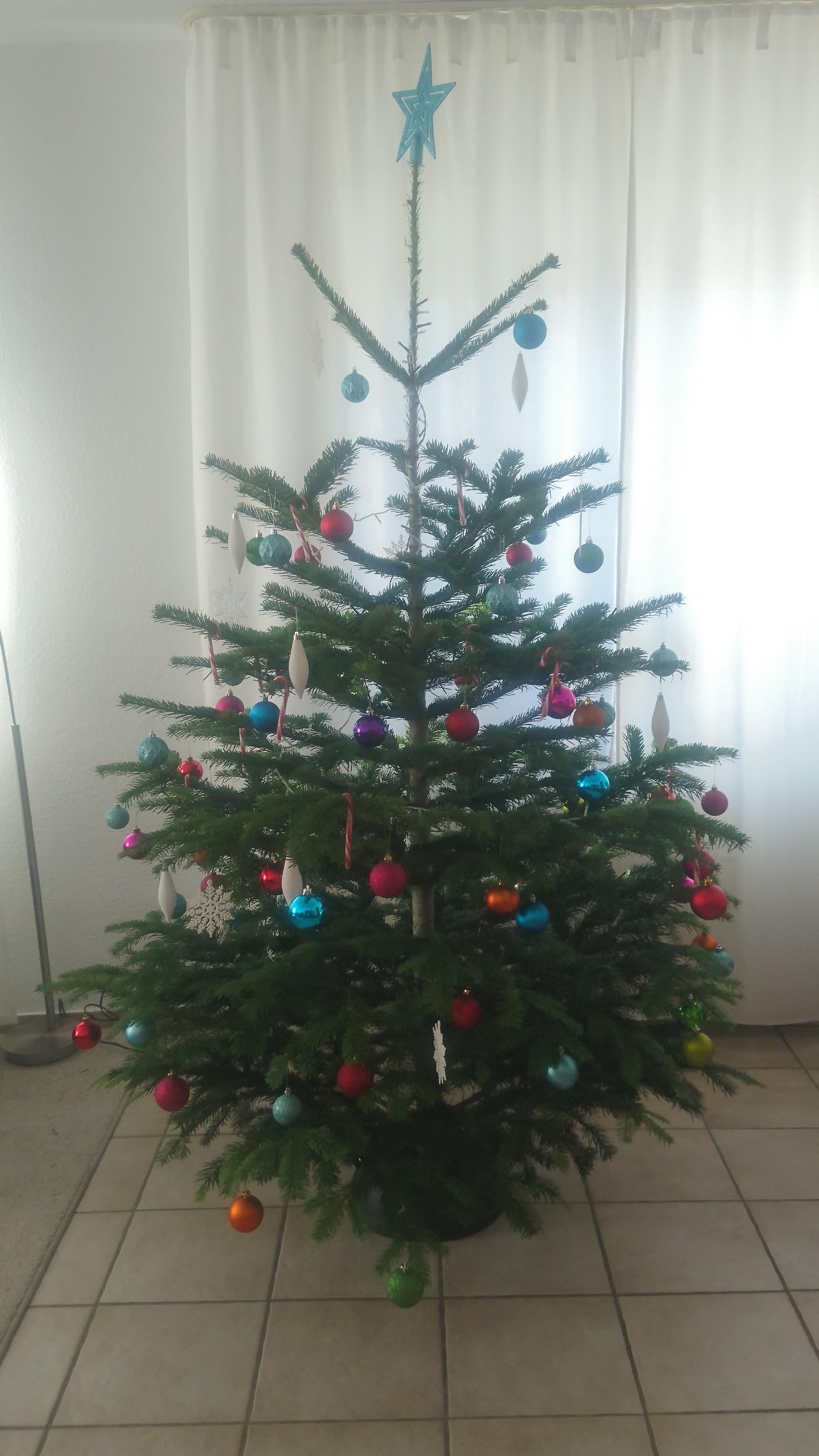 Wahl Zum Schönsten Weihnachtsbaum 2020 Allmystery