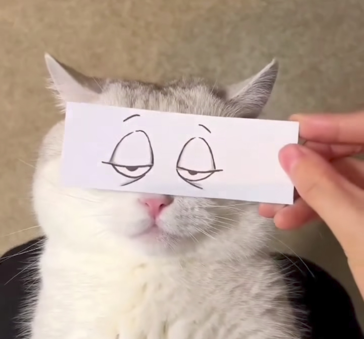 Screenshot 2025-12-24-14-41-40-537 com.i