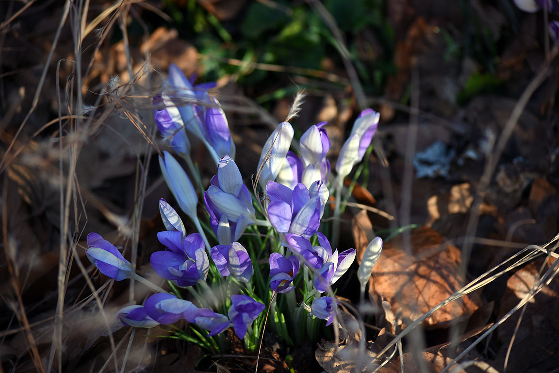 72a5d247-f694-4e60-a0dc-83e73cc9cc52