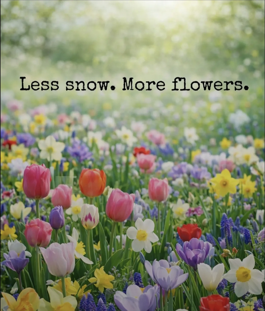 Screenshot 20260302 193149 Chrome