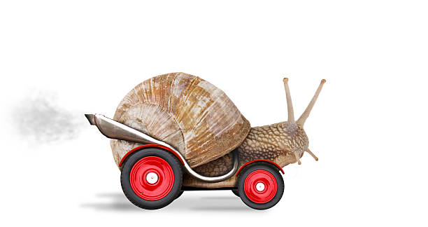 istockphoto-178386571-612x612