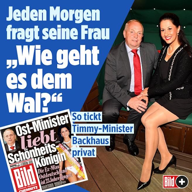 wie geht es wal - Copy