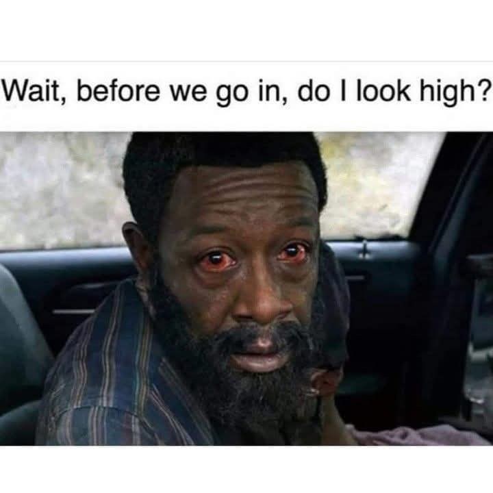 wait-before-go-do-look-high