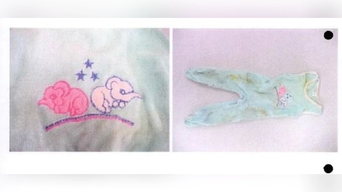 241793296 1709299563 v16 9 1200.webp