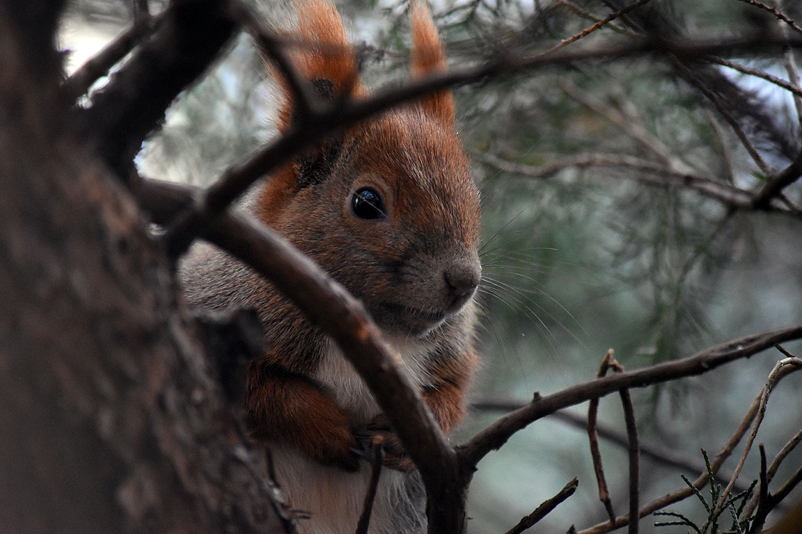 975c7c2b-1a2d-4443-80aa-73c5946af242