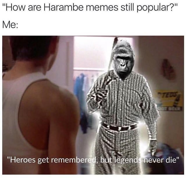 harambe-is-gone-but-never-forgotten-v0-j