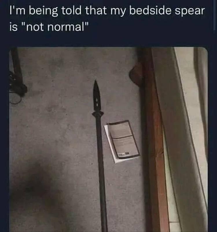 bedside spear