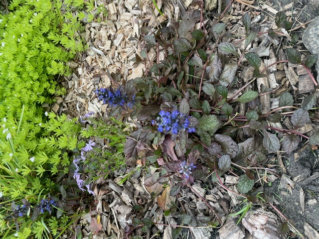 image10