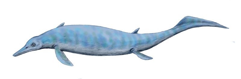 Chaohusaurus BW