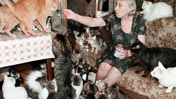 topTeaser crop katzen-animal-hoarding