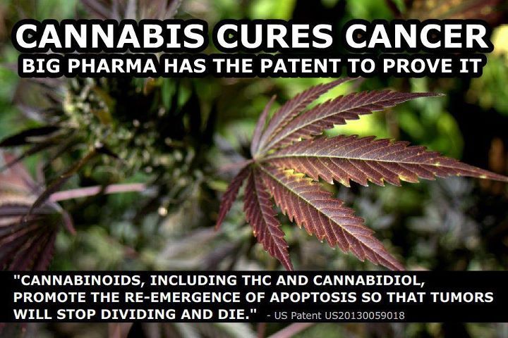 CannabisCuresCancerBigPharma