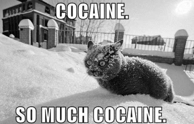 coke cat freak
