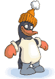 pinguin3