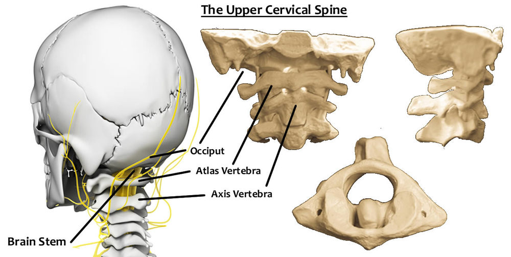 truHealth Specific Chiropractic Studio U