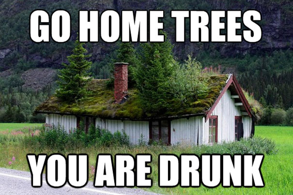 Bilder-Thread go-home-you-are-drunk-27