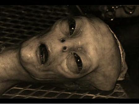 Bilder-Thread uf376471183836150alien1fx1