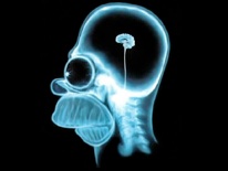wallpaper-brain