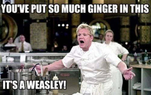 Funny-gordon-ramsay-meme-quote