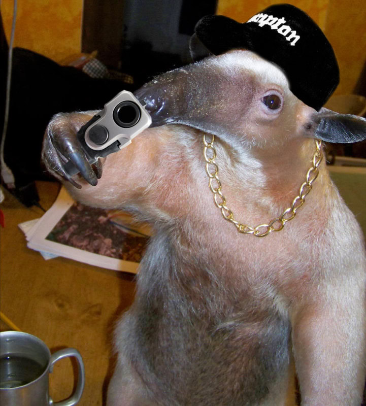 Bilder-Thread Compton-anteater