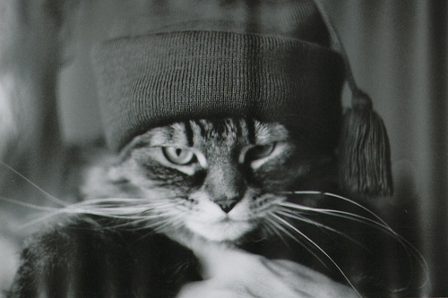 Bilder-Thread tumblr mtux9eZSO51qz4d4bo1 500
