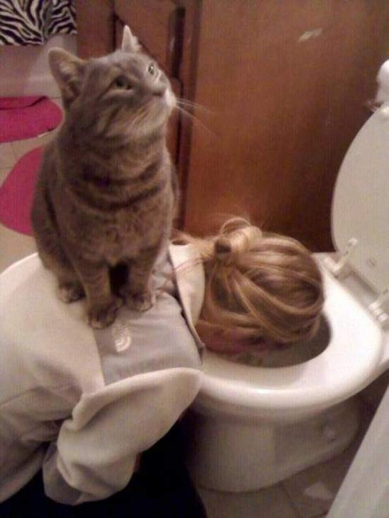 woman-throwing-up-cat-on-back-bathroom-f