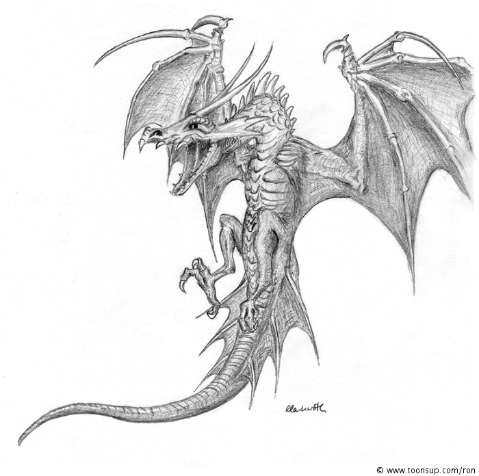 drache wyvern 090421 1426