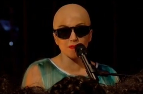 Bilder-Thread gaga-bald