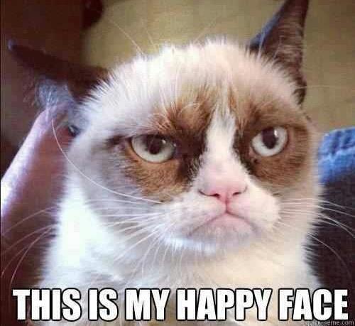 Bilder-Thread Grumpy-Cat