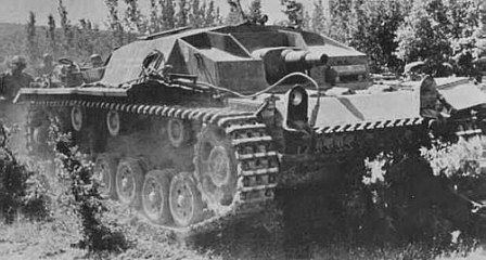 Bilder-Thread wittmann 07